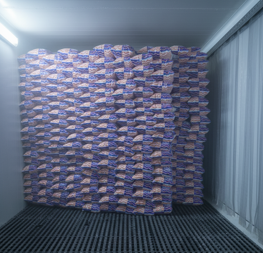 Freezer de supermercado abastecido com gelo Gelo da Praia